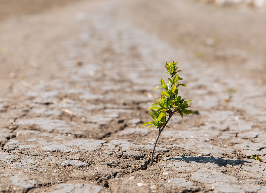  Il cambiamento climatico: le cause, gli effetti, i rimedi