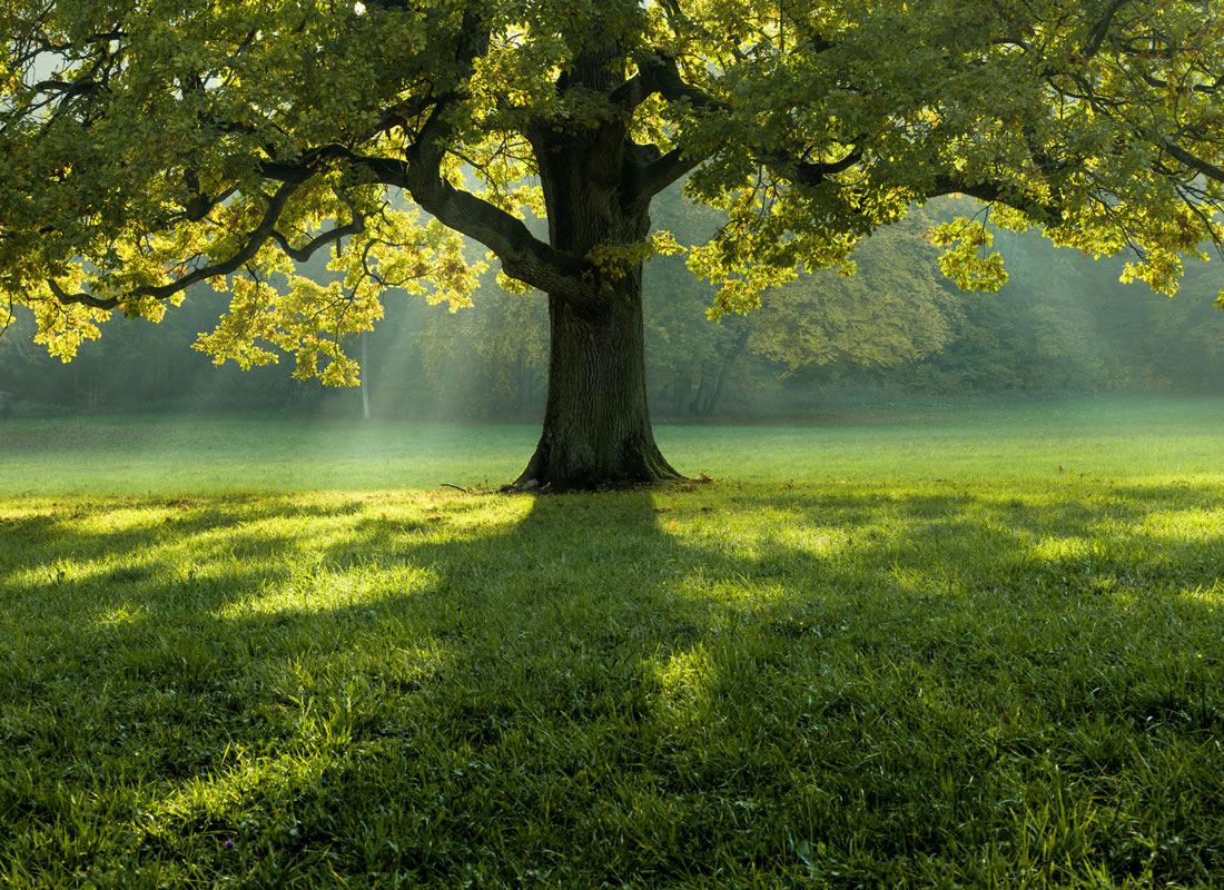Green New Deal: l’industria cartaria europea è pronta